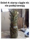 Dzień 4