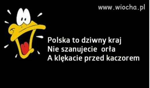 Dla pewnych  fanatyków 