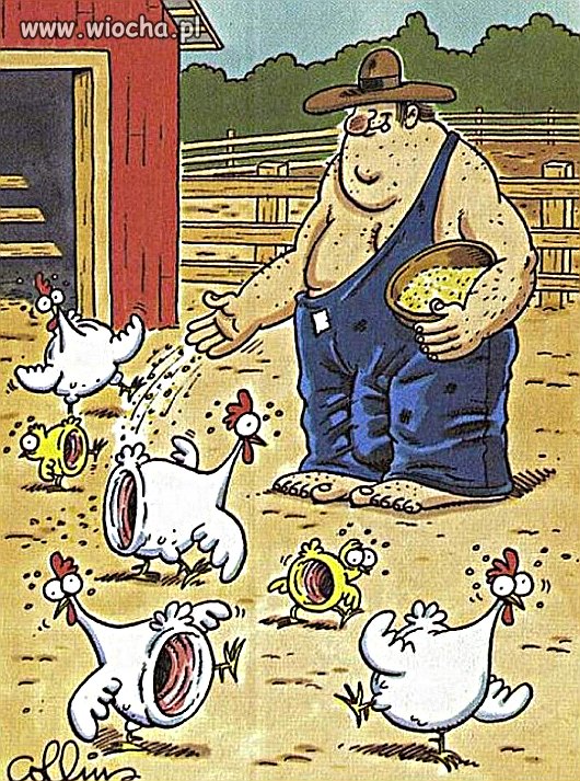 Samotny rolnik...