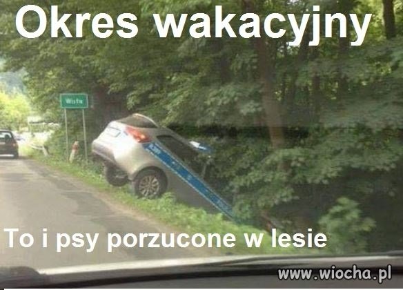 Zaraz się zacznie 