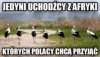 Nowy sondaż dziś w faktach
