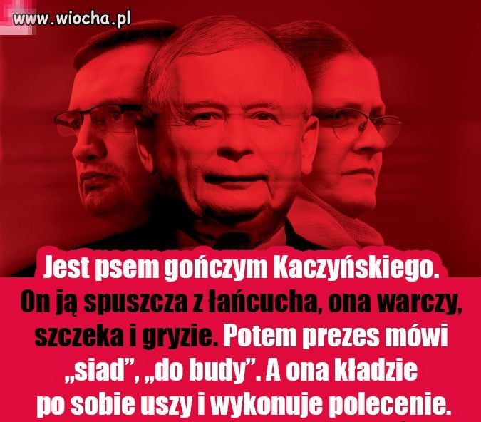 Wiadomo do kogo to 