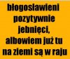 Zwykłe cytaty 