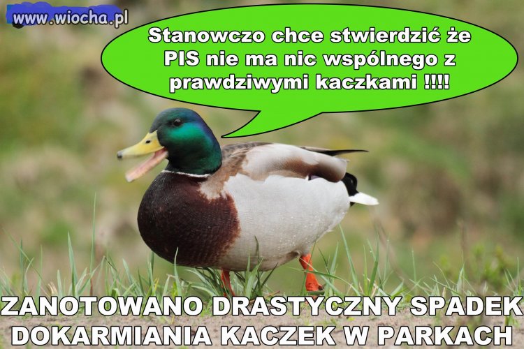 Pierwsze protesty