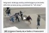 Imigranci atakują Francuców.