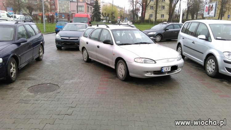 Kraśnik-Tesco, ja go wyśmiałem, żona upomniała 