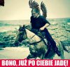 Szarża kretynki