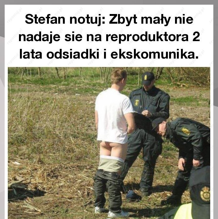 Bykowe i pokrówne, jak brzydka