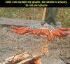 Niby głupie ale działa