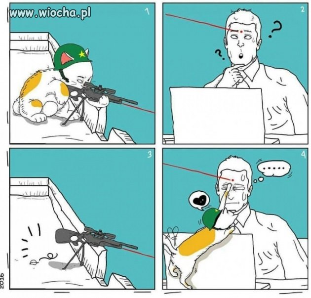 Kot snajper