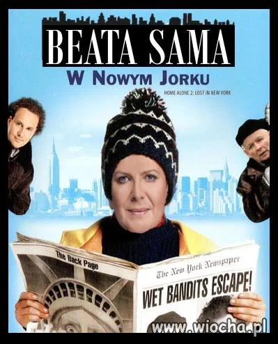 Program w TVPIS