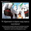 Tam to mają rozrywki