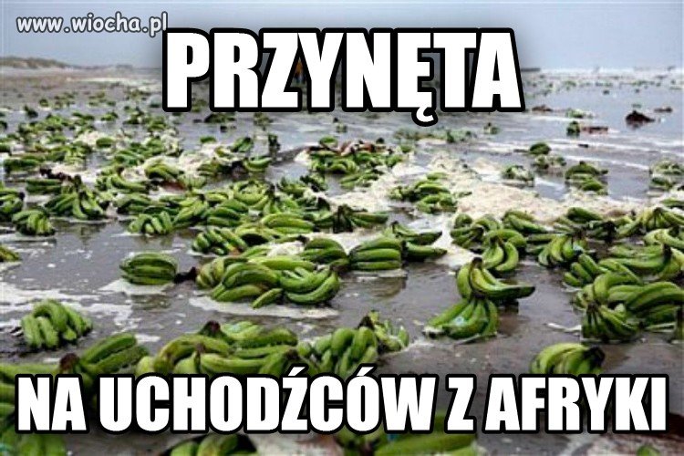 Podstawa to