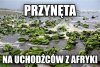 Podstawa to