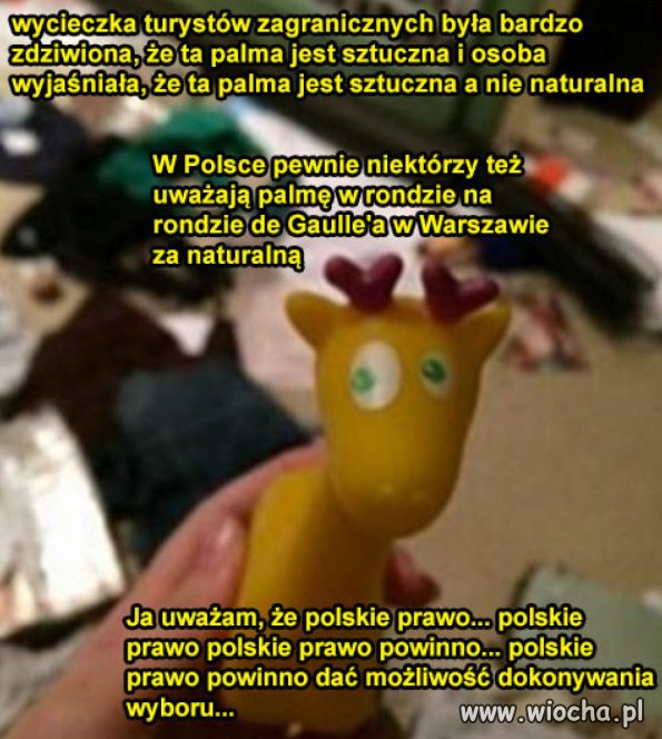 Cytat miesiąca.