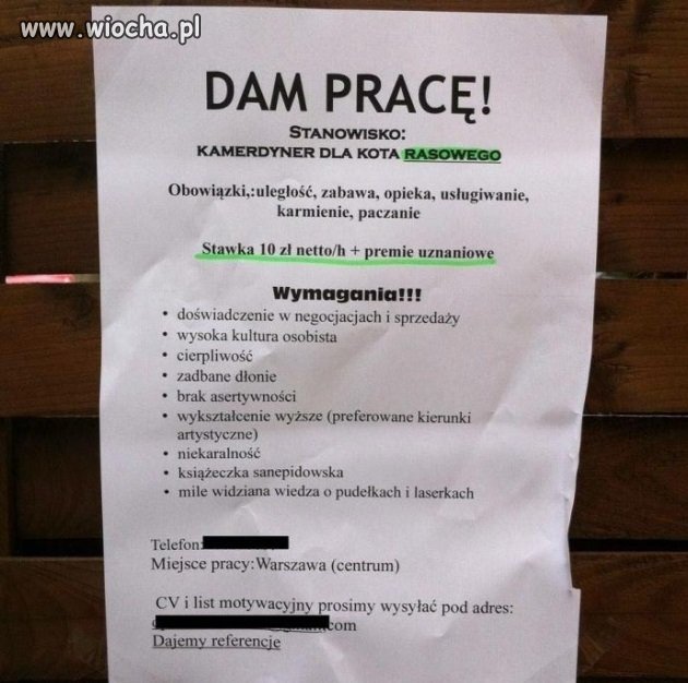 Dam pracę!
