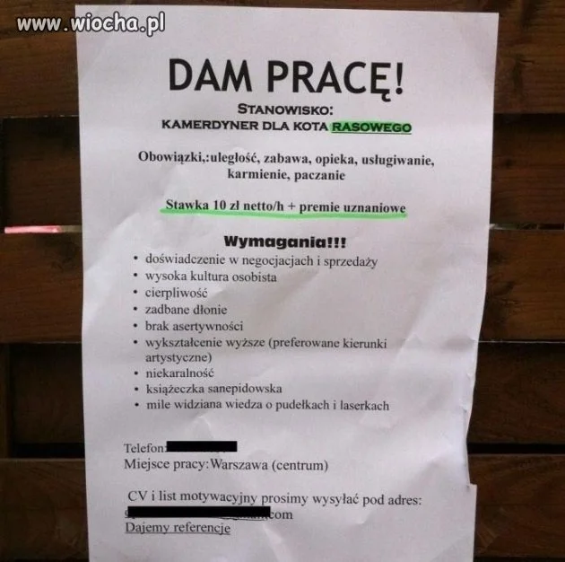 Dam pracę!