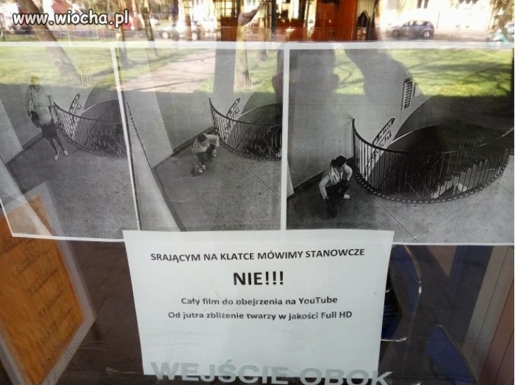 Bareja wiecznie żywy