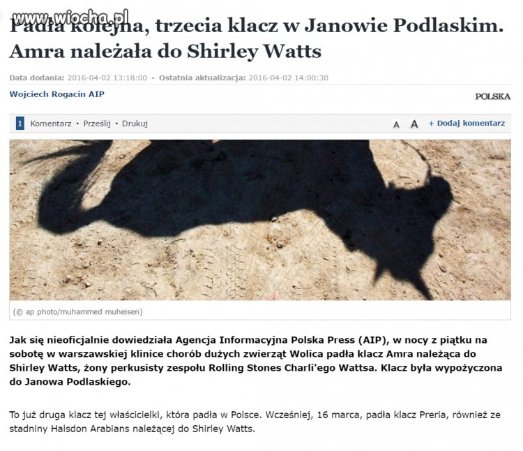 Kolejna klacz zdechła za panowaniem nowego szefa .