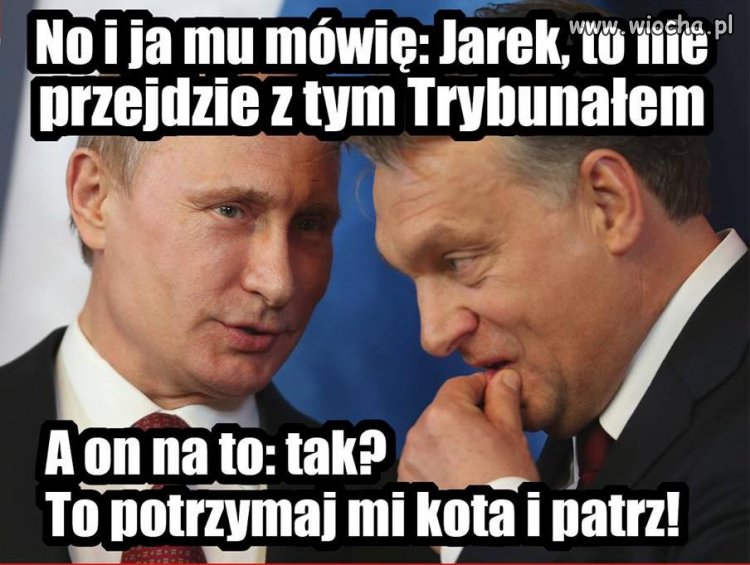 Kolesie