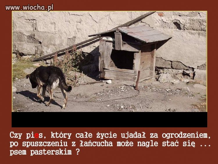 Czy Polskę stać na to  