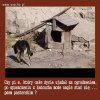Czy Polskę stać na to  