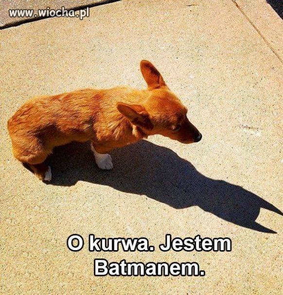 Bat...