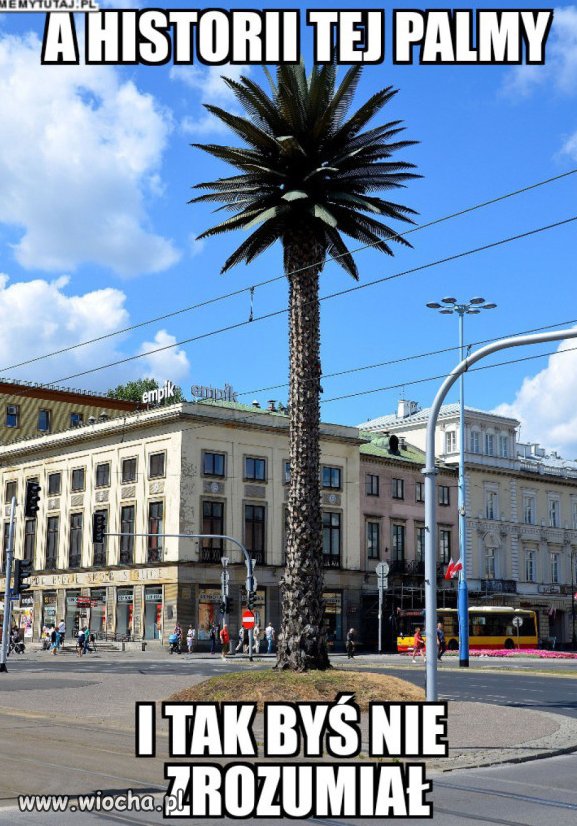 Palma jej odbiła.