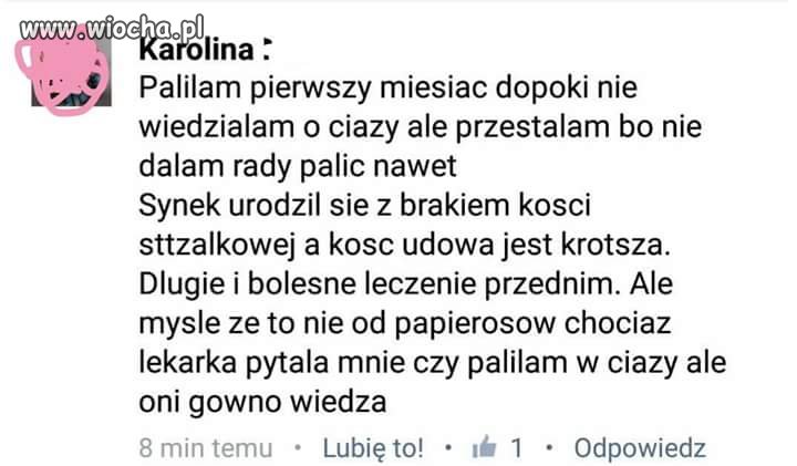 Wszystko 