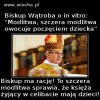 Niepokalane poczęcie