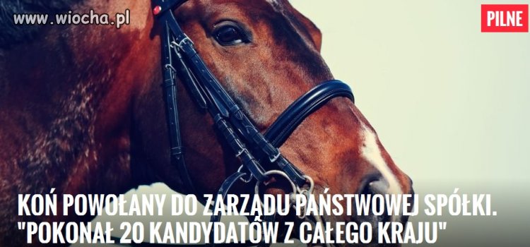 Małe podsumowanie 