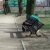 Wiosna wiosna ach to Ty...