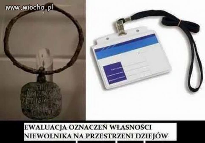Ewaluacja oznaczeń własności niewolnika 