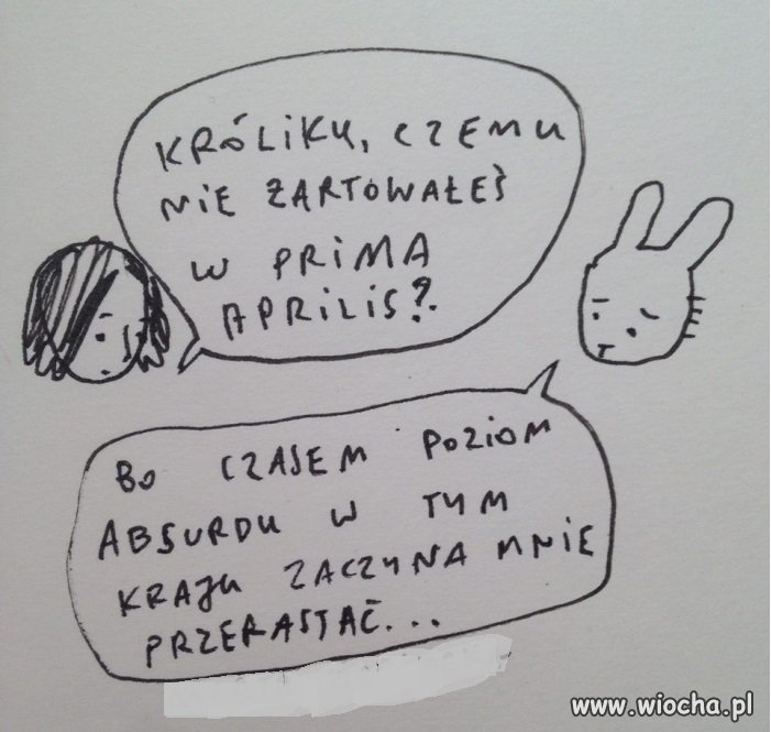 Przykre, ale królik ma dużo racji
