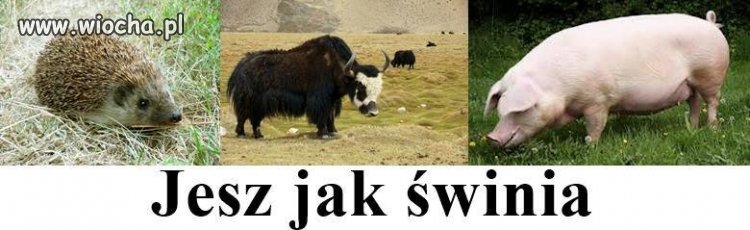Pamiętaj o tym 