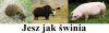 Pamiętaj o tym 