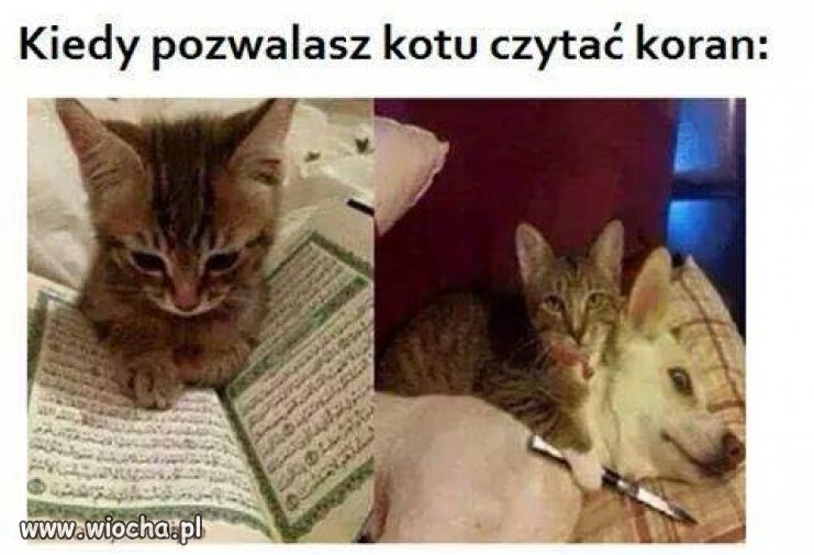 Taka sytuacja...
