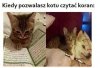 Taka sytuacja...