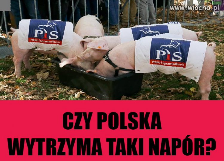 Teraz K... My