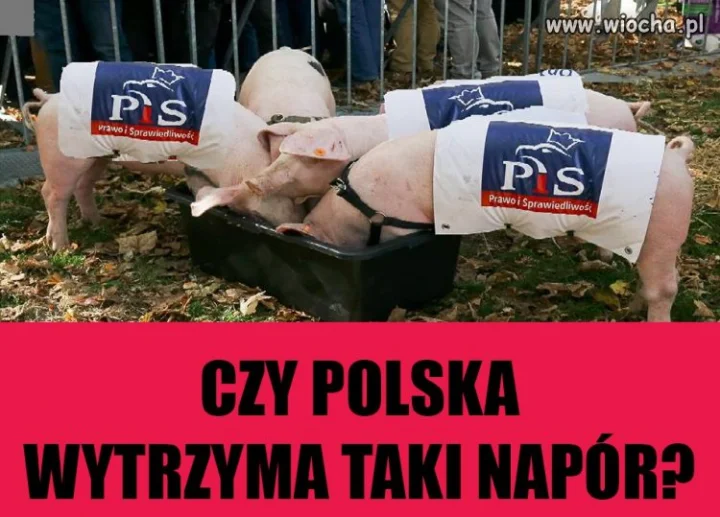 Teraz K... My
