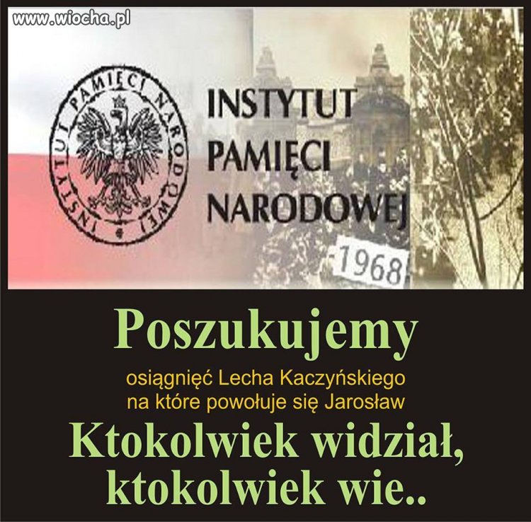 SZUKAMY SZUKAMY 