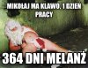 Robota marzeń