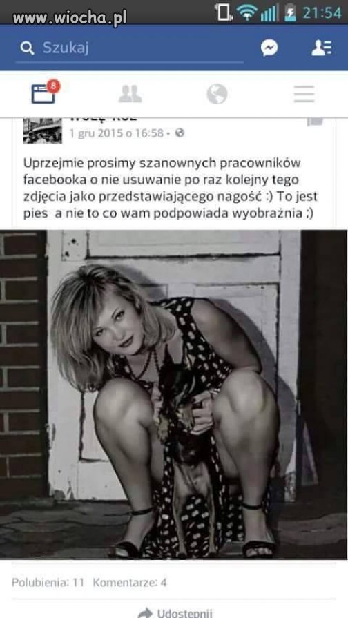 Tak...To niestety pies.