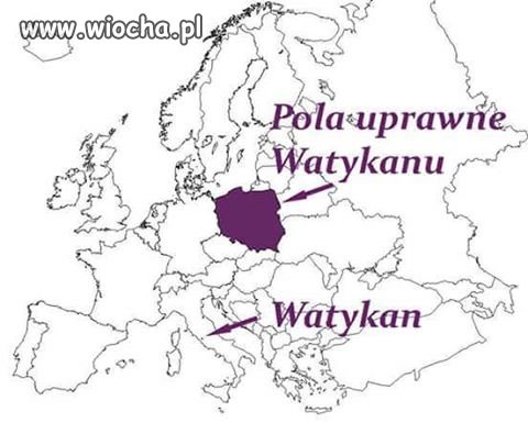 Pola uprawne 