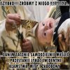 Państwo klerykalne  