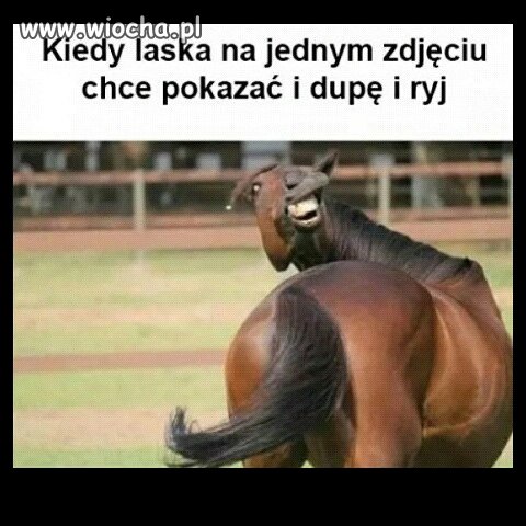 Foto laski