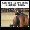 Foto laski