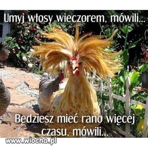 Umyj włosy wieczorem 