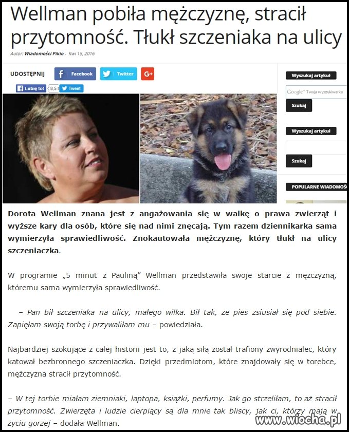Brawo pani Wellman!