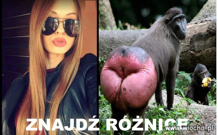 #Polish model